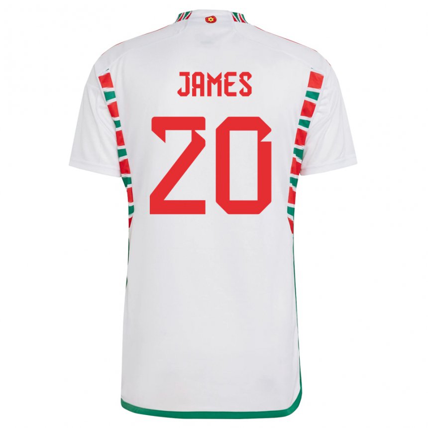 Kinderen Welsh Daniel James #20 Wit Uitshirt Uittenue 22-24 T-shirt