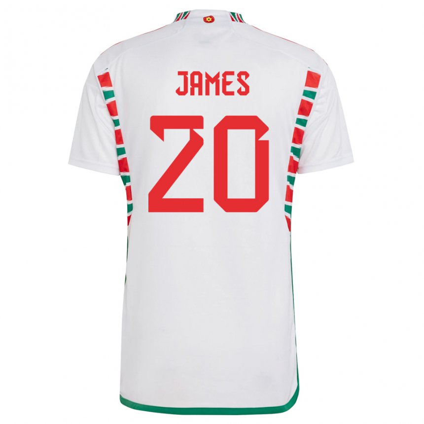 Heren Welsh Daniel James #20 Wit Uitshirt Uittenue 22-24 T-shirt