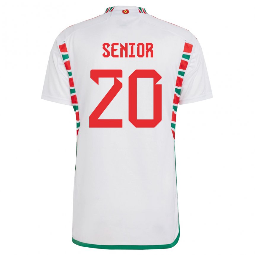 Kinderen Welsh Matt Senior #20 Wit Uitshirt Uittenue 22-24 T-shirt