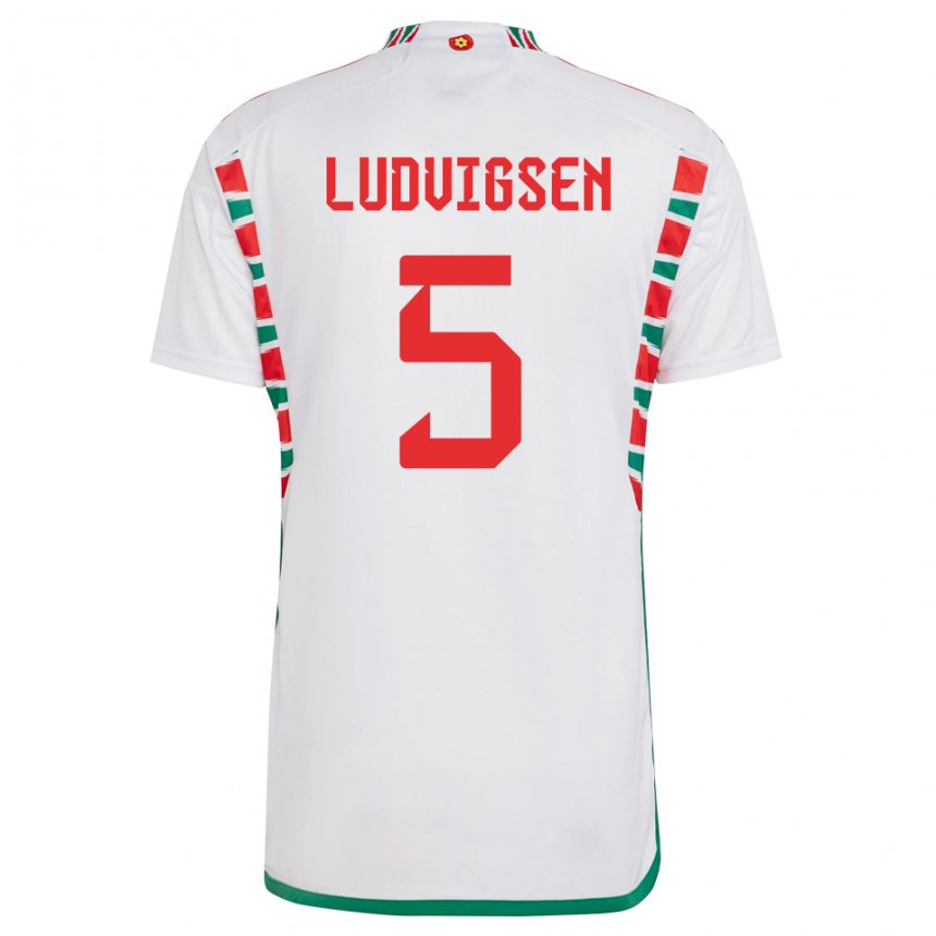 Heren Welsh Kai Ludvigsen #5 Wit Uitshirt Uittenue 22-24 T-shirt