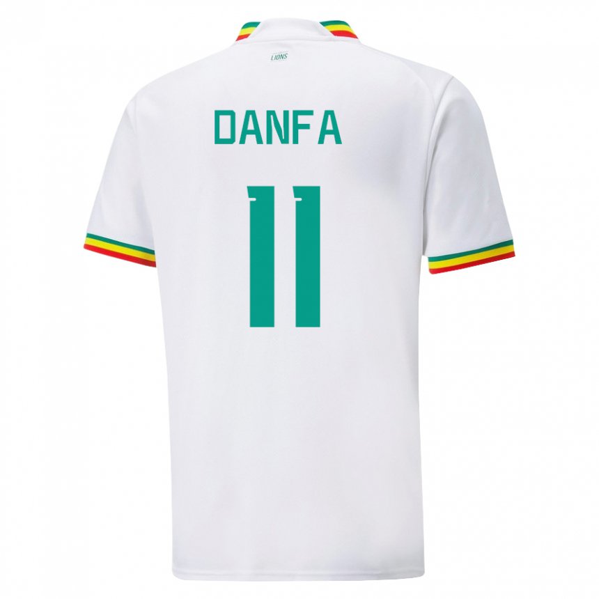 Dames Senegalees Mamadou Danfa #11 Wit Thuisshirt Thuistenue 22-24 T-shirt