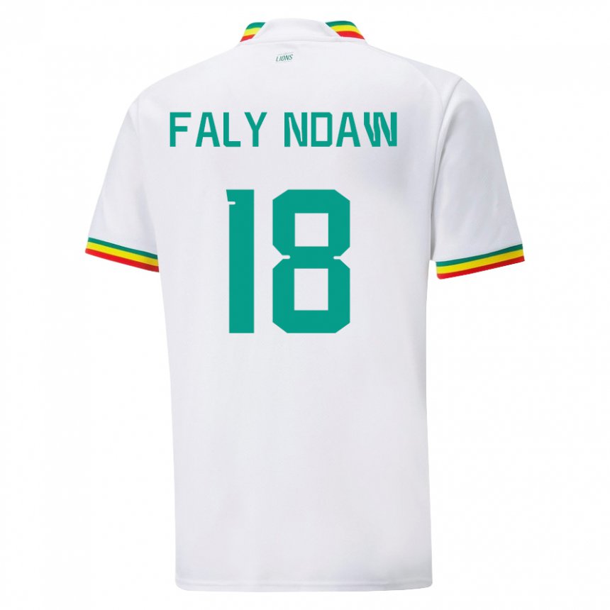 Dames Senegalees Faly Ndaw #18 Wit Thuisshirt Thuistenue 22-24 T-shirt