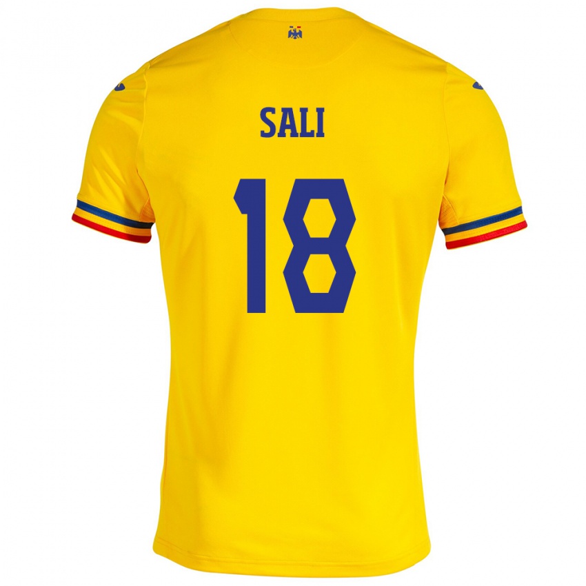 Heren Roemenië Enes Sali #18 Geel Thuisshirt Thuistenue 24-26 T-Shirt