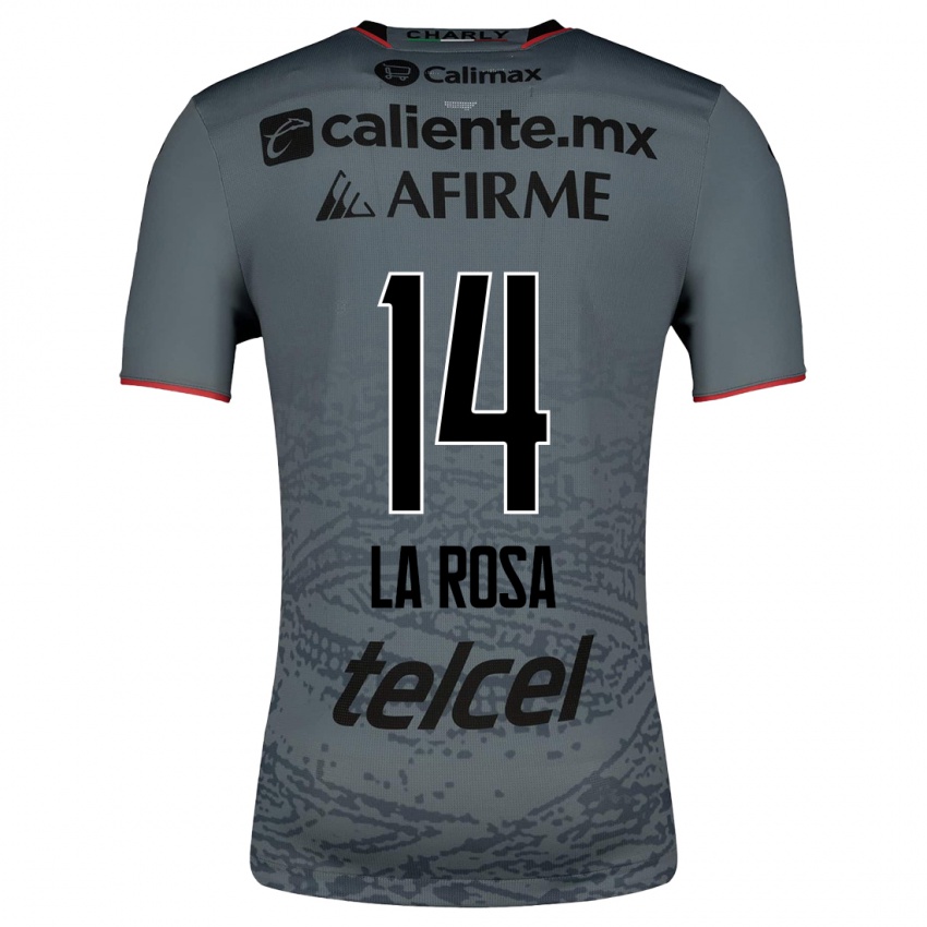 Heren Joselyn De La Rosa #14 Grijs Uitshirt Uittenue 2023/24 T-Shirt