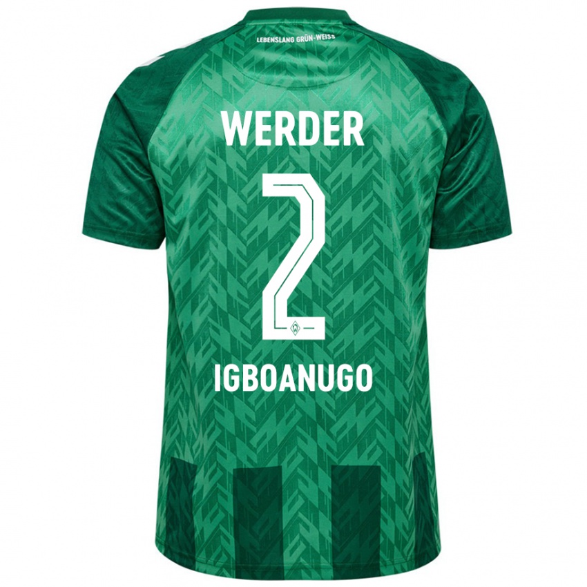 Kinderen David Igboanugo #2 Groen Thuisshirt Thuistenue 2024/25 T-Shirt