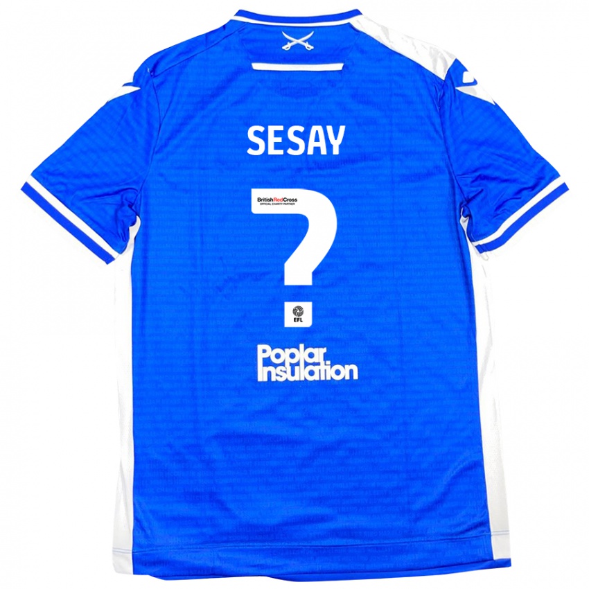 Kinderen Malik Sesay #0 Blauw Wit Thuisshirt Thuistenue 2024/25 T-Shirt